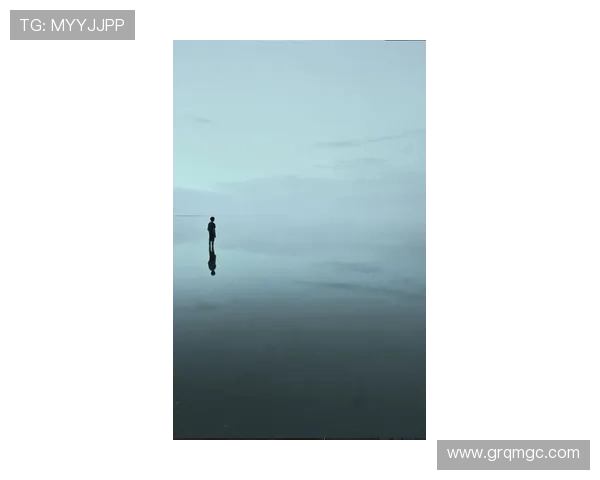 孤途寥落我自坚定向心前行不止